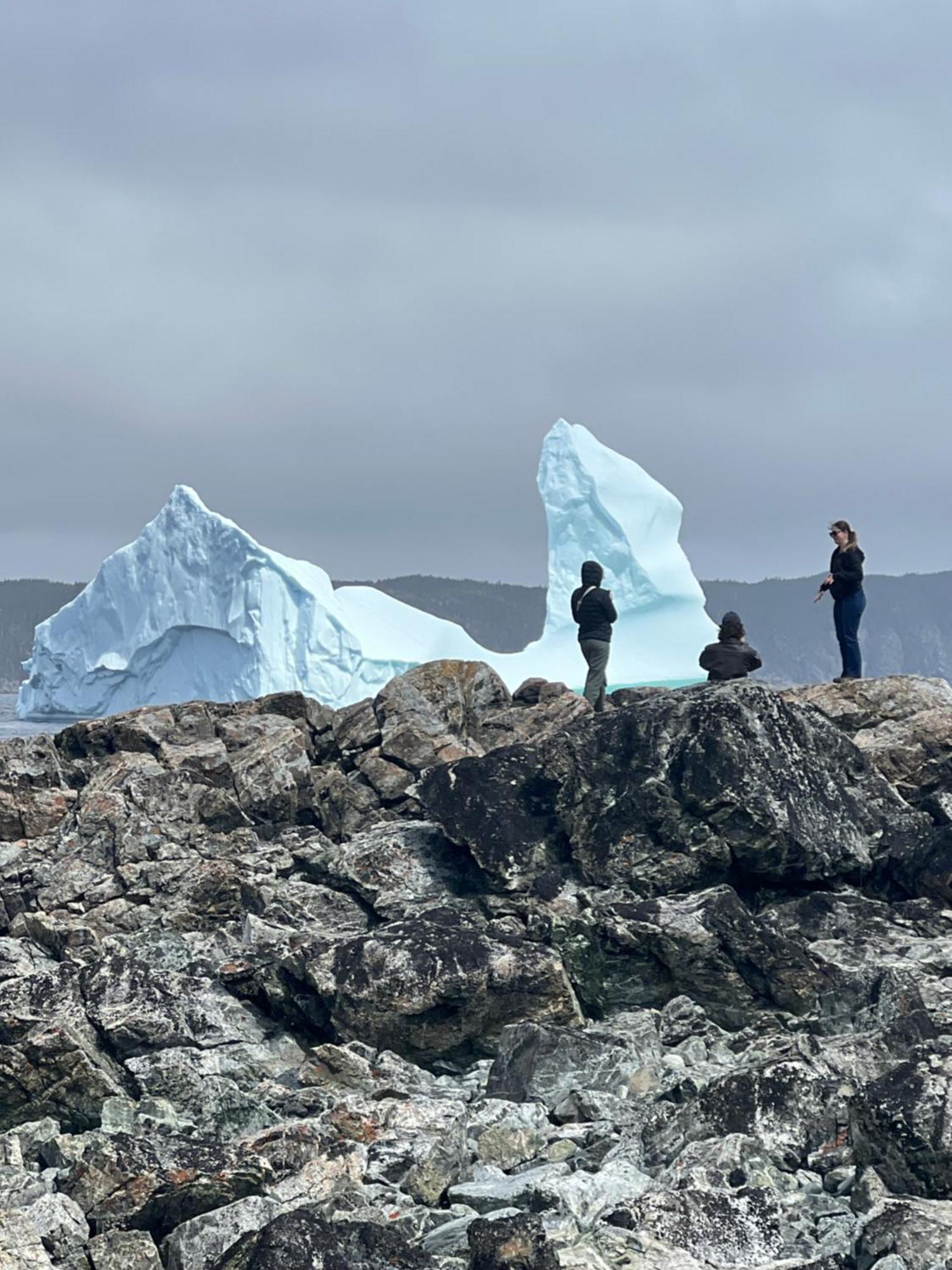 The View Suites And Breakfast In Triton, Newfoundland Pilley's Island Zewnętrze zdjęcie