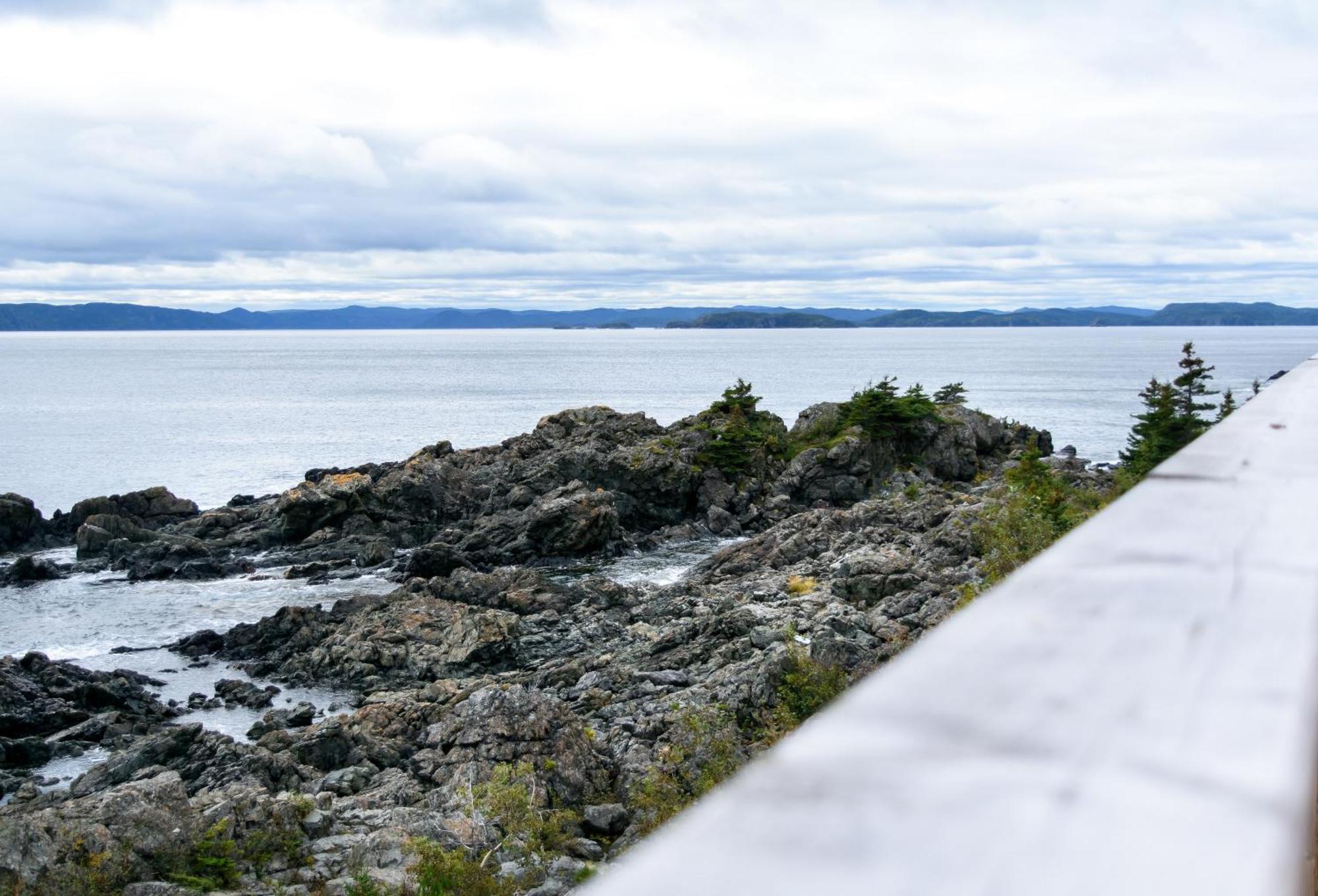 The View Suites And Breakfast In Triton, Newfoundland Pilley's Island Zewnętrze zdjęcie